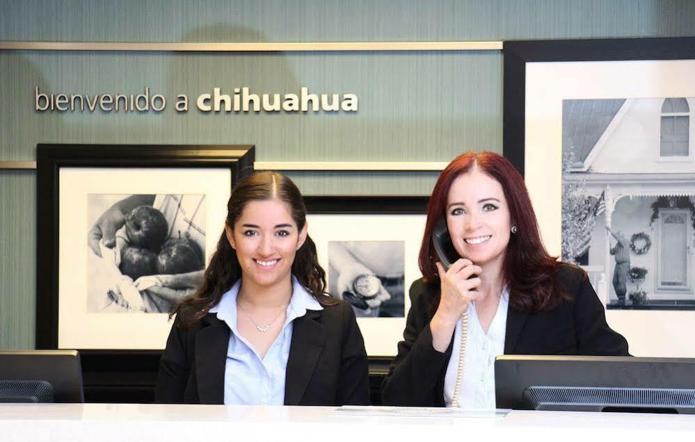 Hampton By Hilton Chihuahua